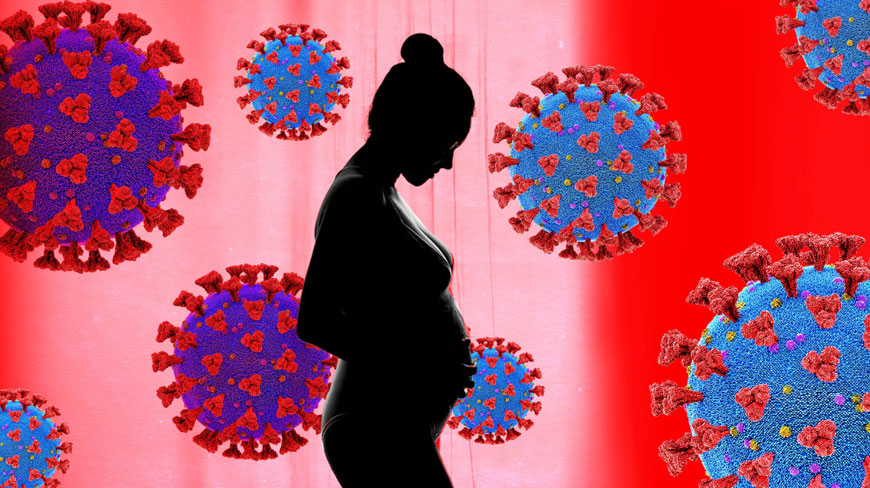 Η ανοσιακή απάντηση των mRNA εμβολίων εναντίον του ιού SARS-CoV-2 σε έγκυες και θηλάζουσες γυναίκες