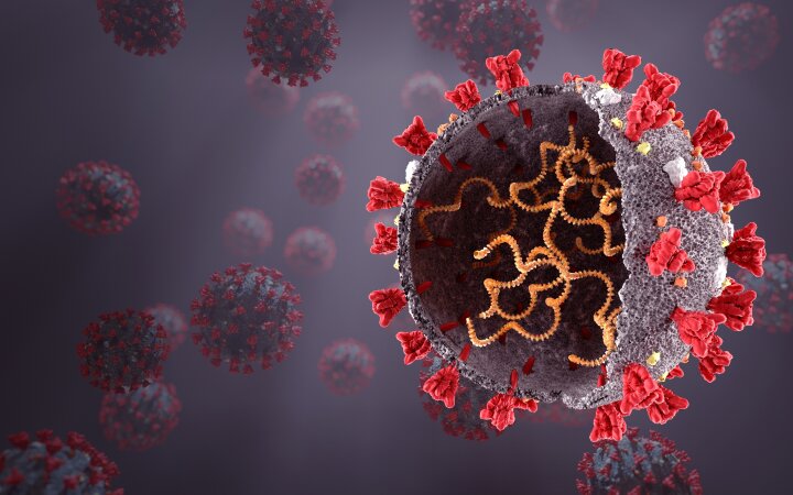 Εμβόλια και παραλλαγές του SARS-CoV-2