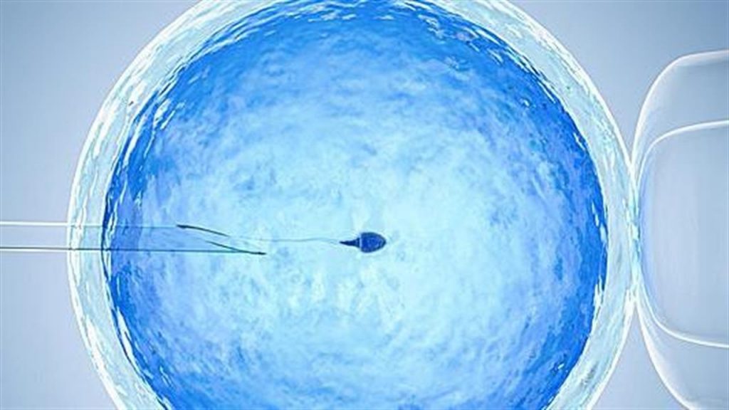 Γιατί είναι ασφαλής η λήψη ορμονών στην εξωσωματική γονιμοποίηση;