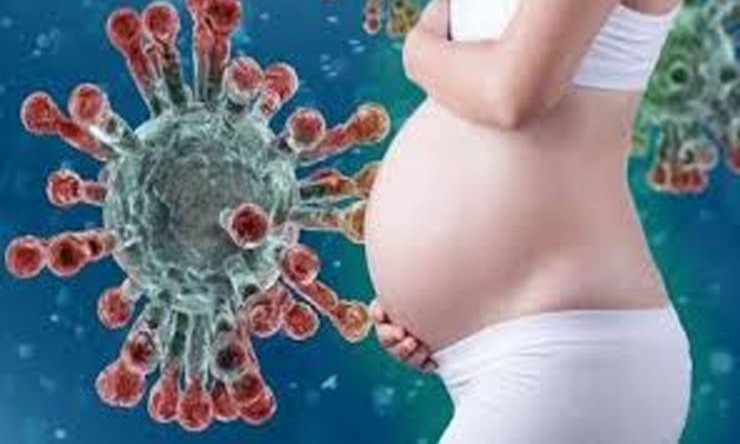 Ο ιός SARS-CoV-2 μπορεί να προκαλεί εμβρυική φλεγμονή ακόμα και σε απουσία λοίμωξης του πλακούντα στις εγκύους