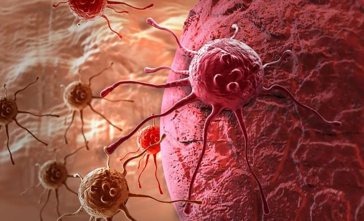 Τα καρκινικά κύτταρα διασπείρονται κατά το βραδινό ύπνο