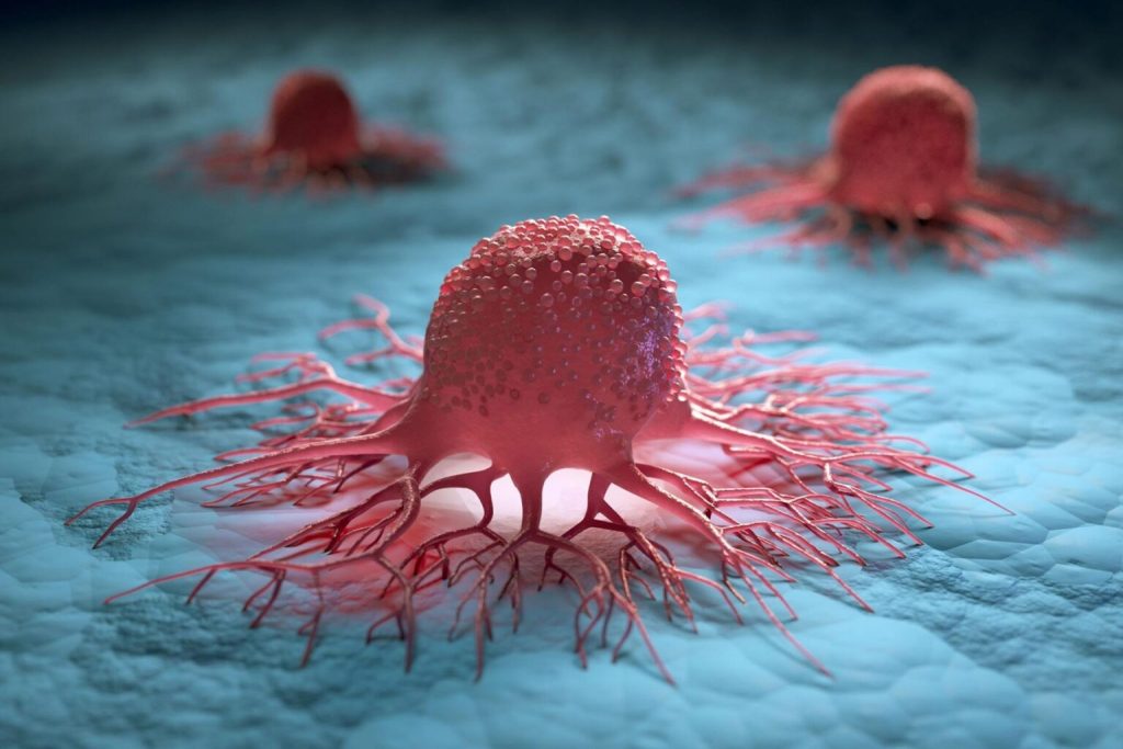 Χαρακτηρισμός των καρκινικών κυττάρων που διαφεύγουν της χημειοθεραπείας