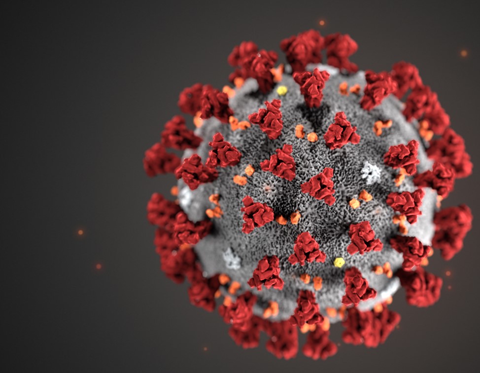 Η ασφάλεια και η ανοσογονικότητα του δισθενούς εμβολίου mRNA-1273.214 έναντι του SARS-CoV-2