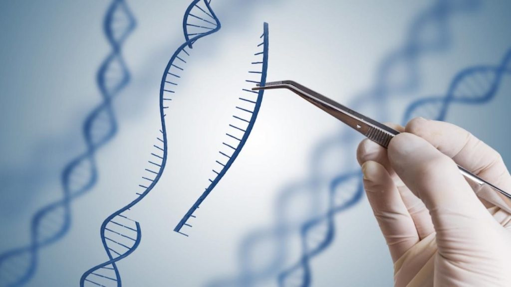 Vertex: Η Ευρωπαϊκή Επιτροπή εγκρίνει την πρώτη θεραπεία γονιδιακής επεξεργασίας με την τεχνολογία CRISPR/Cas9